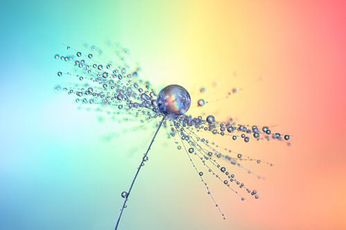 Water droplets on a lint by Bert Nijholt