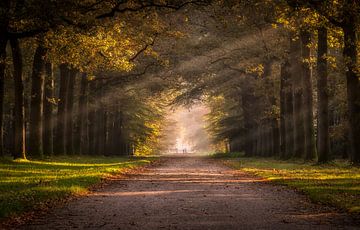 Herfst in de paleistuin