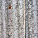Primal ground - Study in silence by Hans Kwaspen thumbnail