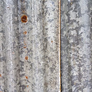 Oergrond - Studie in stilte van Hans Kwaspen
