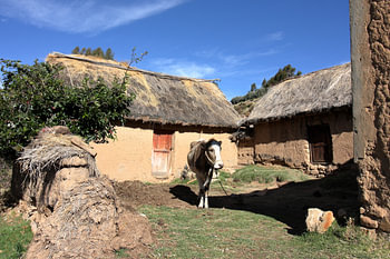 Homestead on the Island of the Sun