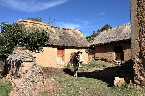Homestead on the Island of the Sun