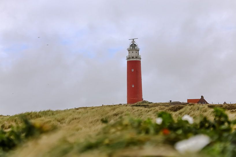 leuchtturm auf texel, watteninsel, texel von judy-fotografie