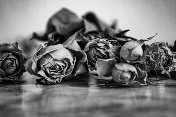 Gedroogde rozen zwart wit van Niek Traas