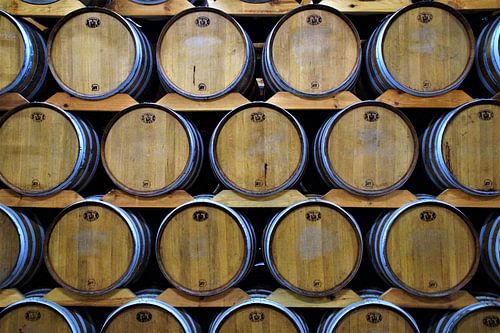 Cognac barrels Vignerons Ile de Re