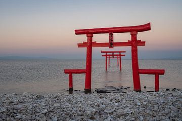Die Torii-Tore von Tara, die Sie in den Ozean führen von Anges van der Logt