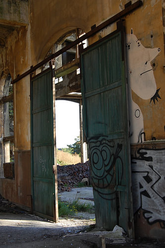 Door