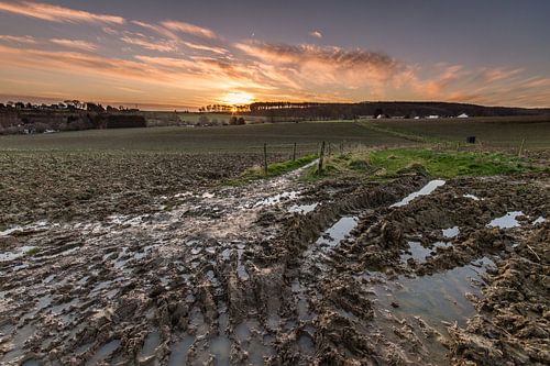 Ochtend reflecties by Maurice Hertog