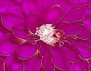 So Violett (Rosa-Dahlien-Kunst)