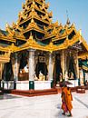 Boeddhistische monnik bij de gouden Shwedagon Pagoda (Pagode) in Yangon (Rangoon), Myanmar van Michiel Dros thumbnail