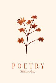 Poetry Without Poets VII