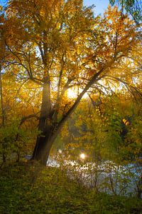 Dans les rayons du soleil ivre sur Vladyslav Durniev