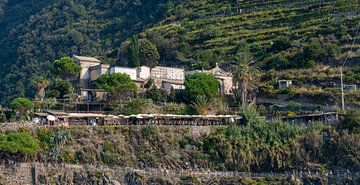 De Cinque Terre bestaat uit vijf dorpen langs de Italiaanse Riviera kust vlak bij La Spezia in Ligurië in Italië. De Cinque Terre bestaat uit de vijf dorpjes Monterosso al Mare,  Vernazza, Corniglia, Manarola en Riomaggiore. De dorpen zijn in 1997 opgenomen op de UNESCO-werelderfgoedlijst. De foto's zijn in oktober 2023 gemaakt, deels vanaf de kust en deels tijdens de wandelingen in en bij de verschillende dorpjes. Al wandelend in de dorpjes die we met de trein vanuit Levanto bezochten besloten we,  om werkelijk een goed beeld te krijgen van de dorpjes die tegen de rotswanden aan liggen, een boottochtje te maken tussen twee van de vijf dorpjes. Daarvan zijn  deze foto's de weerslag. Achteraf hadden we misschien meer tijd uit moeten trekken om de dorpen te bezoeken. Als je ooit een bezoek brengt neem daar dan de tijd voor. Minimaal twee dagen lijkt mij nodig om het idee te hebben alles gezien te hebben. Alvast veel plezier!