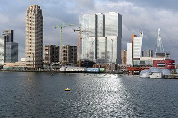 Wilhelminapier aan de Rijnhaven in Rotterdam