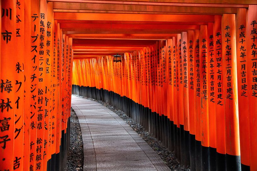 Fushimi Inari Shrine, Kyoto, Japan. by Barbara Merlone