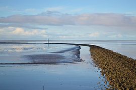 Morning light by Zwergls Lichtermeer