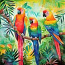 Three parrots by ARTemberaubend thumbnail