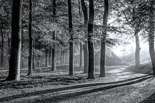 Schaapskooi Hoog Buurloo