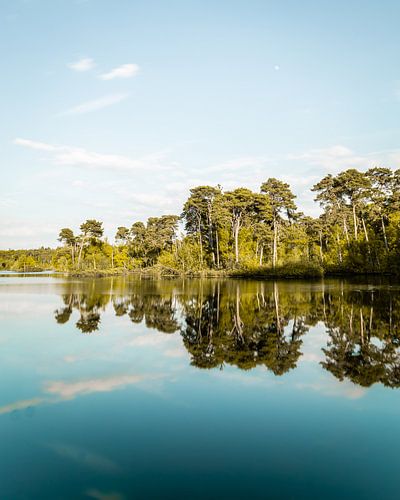 Nederlandse Jungle Oisterwijkse Bossen & Vennen