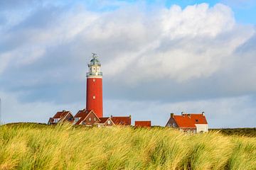 Texel lighthouse in the dunes during an autumn morning by Sjoerd van der Wal Photography