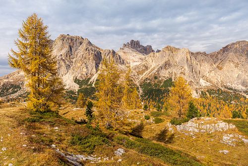 Herfst in de Dolomieten Italië