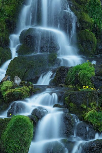 Waterval op Isle of Skye, Schotland par Hans Koster
