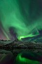 Noorderlicht in de nachtelijke hemel boven de Lofoten eilanden in Noorwegen van Sjoerd van der Wal Fotografie thumbnail