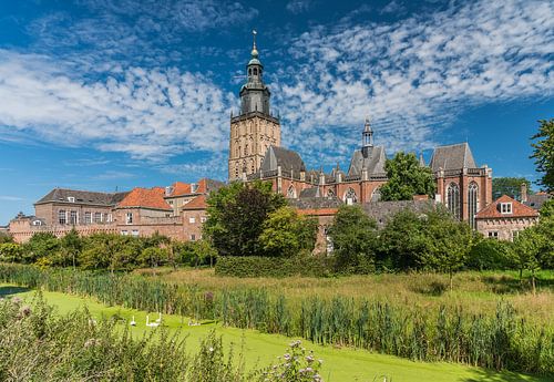 Swans at the skyline of Zutphen