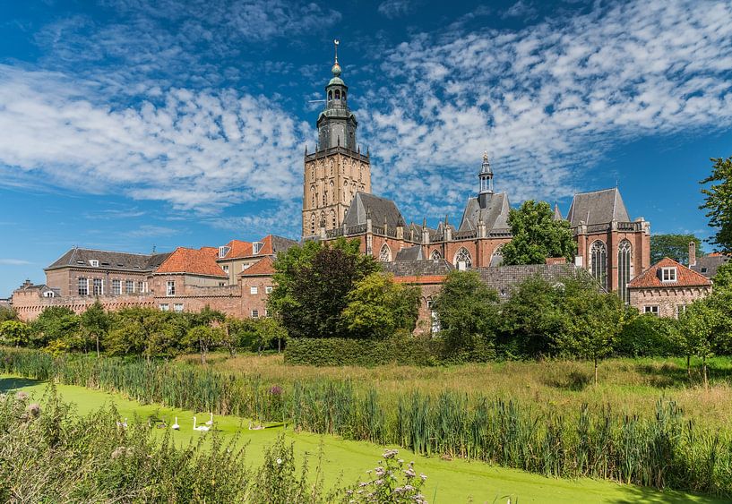 Zwanen bij de Zutphense skyline van Jeroen de Jongh