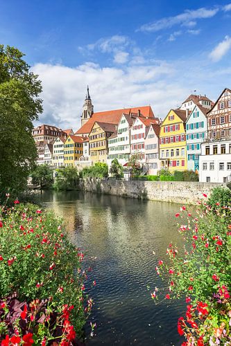 Pittoresk Tübingen Neckar-front