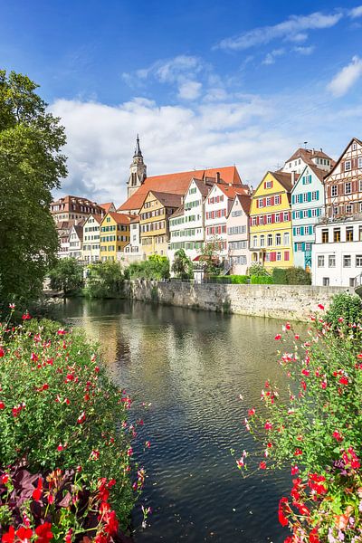 Picturesque Tuebingen Neckar Front by Melanie Viola