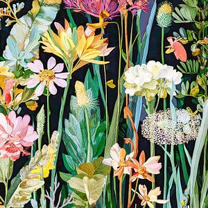 Botanische Sommerblumen
