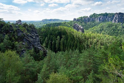 Green forest and view towards the Bastei mountain