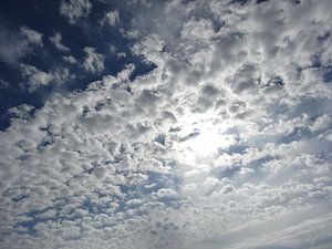 The Dutch Clouds 005
