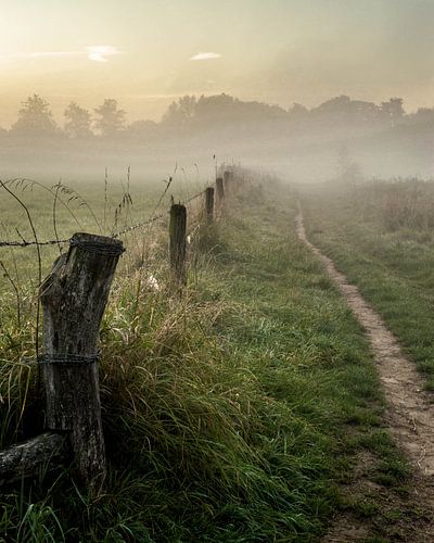 Rustgevend landschap