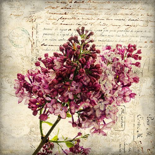 Sering 'Ter nagedachtenis aan Ludwig Spaeth