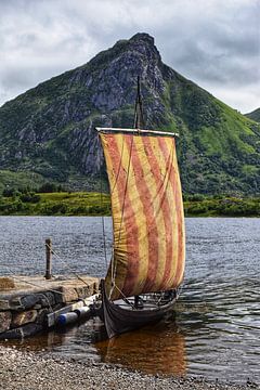 Viking boot Noorwegen van Maaike Hartgers