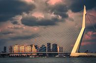 Schönes Licht auf der Erasmusbrücke in Rotterdam von jowan iven Miniaturansicht