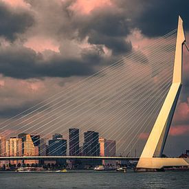 Prachtig licht op de Erasmusbrug in Rotterdam van jowan iven