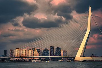 Schönes Licht auf der Erasmusbrücke in Rotterdam