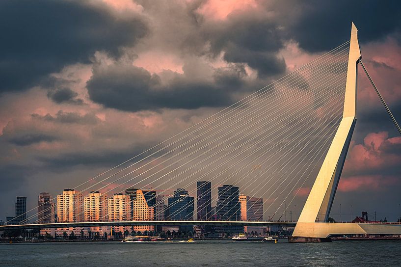 Prachtig licht op de Erasmusbrug in Rotterdam van jowan iven