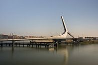The elegant Prins Claus bridge over Wantij in Dordrecht by Patrick Verhoef thumbnail