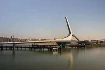 Die elegante Prinz-Claus-Brücke über die Wantij in Dordrecht von Patrick Verhoef