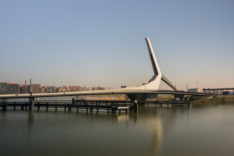 The elegant Prins Claus bridge over Wantij in Dordrecht by Patrick Verhoef