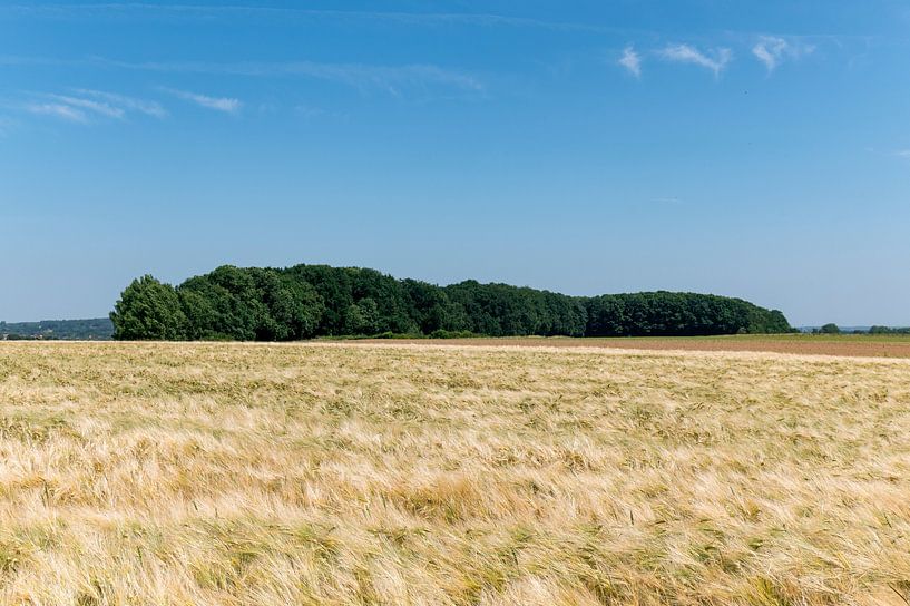 Landschap Vlaams Brabant van Richard Wareham