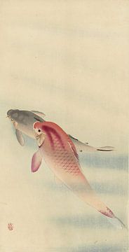 Two carp, Ohara Koson