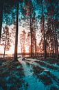 Zweden bos in winter van Andy Troy thumbnail