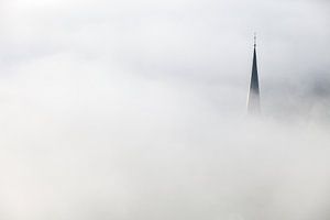 Nebel über dem Tal in der Ortschaft Wolf an der Mosel an der Mosel in Deutschland