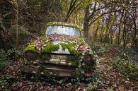 Verlassenes Auto im Wald. von Roman Robroek Miniaturansicht