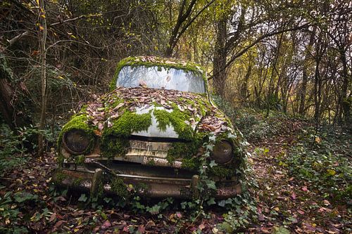 Voiture abandonnée dans la forêt.